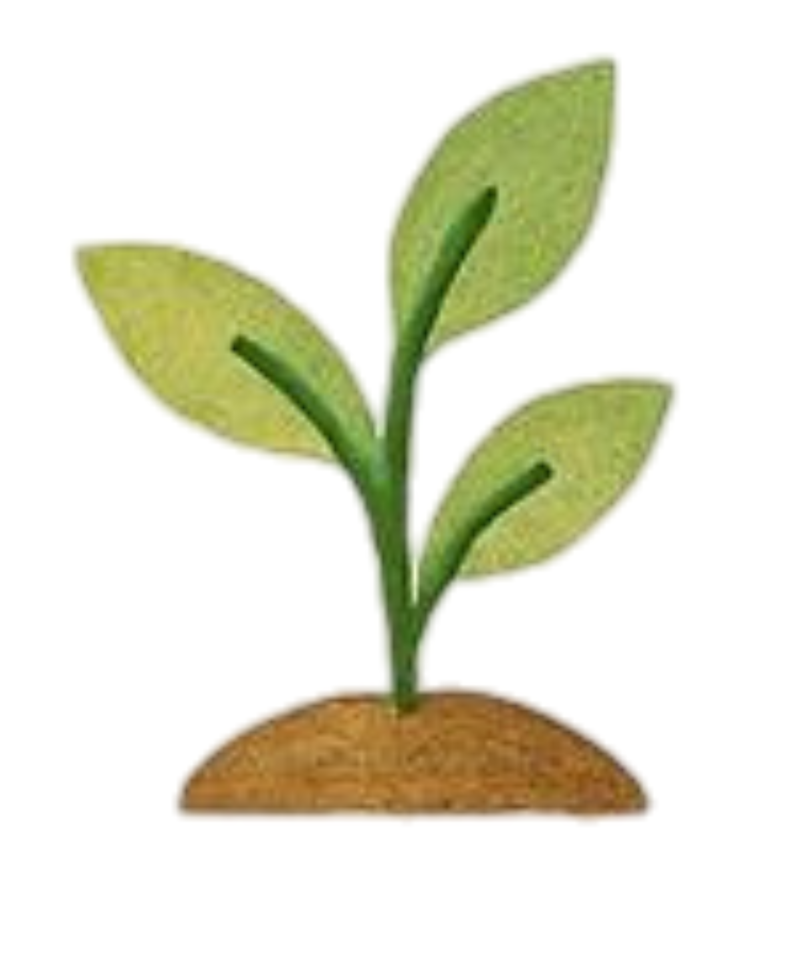 Harmonise With Nature